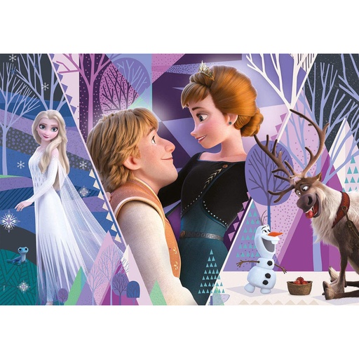 [8005125293094] Puzzle Frozen 2 Disney 180pzs