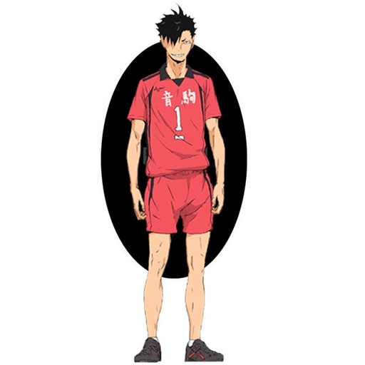 [4573102684332] Figura Ichibansho Tetsuro Kuroo Battle at the garbage Dump 2 Haikyu!! 20cm